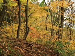 紅葉とクラゲに会いに秋の東北へ （3）またまた黄金色の森　高瀬峡でのハイキング