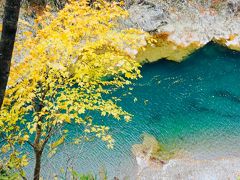 東北紅葉の旅  田沢湖から抱返り渓谷へ