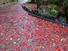 紅葉の横蔵寺・華厳寺と岐阜市内散歩