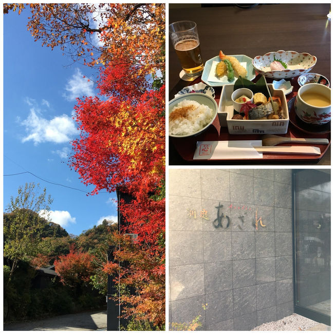冬の到来の早い今年、紅葉が見られるうちにと、晩秋の武田尾温泉で友人とランチ＆温泉を楽しみました。<br /><br />今年は季節の進みが早く、2014年に夫と来たときは見頃だったところが、既に紅葉が終わっていたりしましたが、青空に恵まれて楽しい時間を過ごしました。