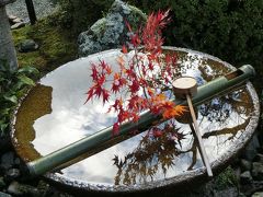 一乗寺☆紅葉☆大徳寺