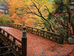 錦秋の北陸城めぐり⑤山中温泉