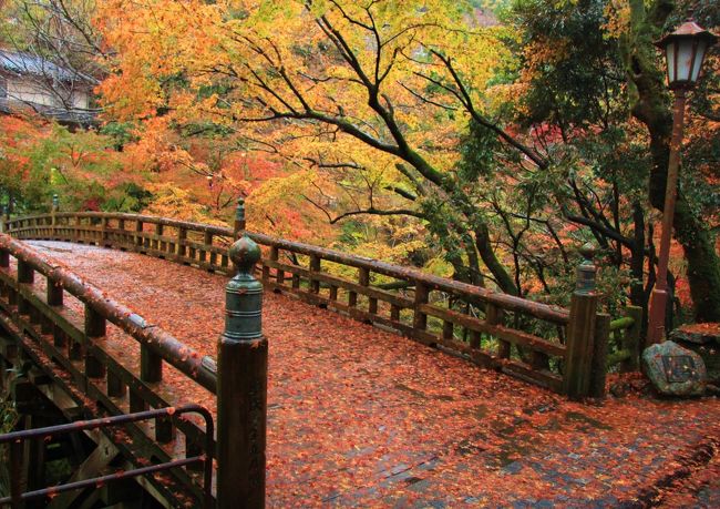 １泊２日で北陸の８つの城を巡って来ました。雨続きでしたが、紅葉は見頃で良かったです。<br />①富山城址公園<br />②高岡古城公園<br />③七尾城址<br />④金沢城<br />⑤山中温泉　　・・・本編<br />表紙はこおろぎ橋と紅葉・散紅葉