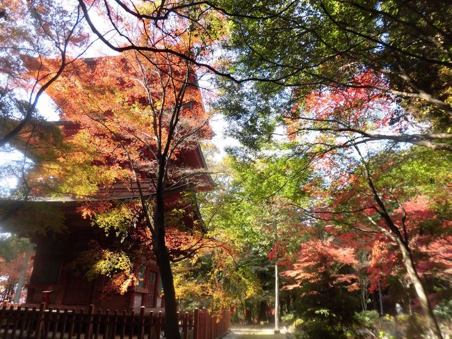 秋の1日、紅葉に映える三重塔を見るため足を運びました。<br />観光寺では無いので訪れる人もそう多く無く<br />ゆっくり散策することができました