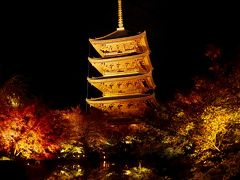 1泊2日で京都の紅葉を見に行く。1日目は毘沙門堂、南禅寺、東寺のライトアップ