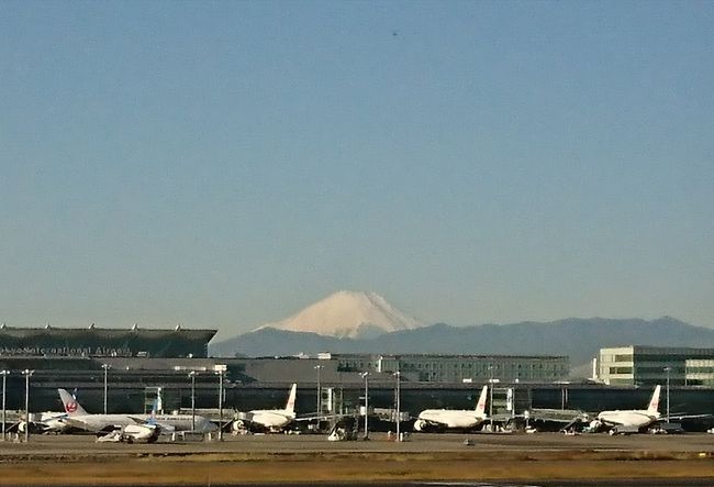 鉄道、飛行機、船など、乗り物に乗るのが好きなのです<br />ちょっと飛行機に乗りたくなって<br />でも、どこに行く予定もないので<br />「どこかにマイル」を試してみました<br /><br />「どこかにマイル」とは　（JALのホームページより抜粋）<br />・往復6,000マイルでJALグループ国内線特典航空券をご利用いただけます。<br />・行き先空港は、お申し込み時に4つの候補が表示され、お申し込みから3日以内に決定しメールでお知らせいたします。<br />・お申し込み後は日付・搭乗者・発着地・区間数などを変更することはできません。<br /><br />申し込み時に示された４つの候補地は、<br />「旭川」「青森」「秋田」「札幌」など<br />何度やり直すも、示される候補地は北海道、東北地方ばかり<br />どうやらＪＡＬは北海道、東北へと誘導したいようです<br />悩みましたが、ポチッとしちゃいました ＼(^-^ )<br /><br />翌日にはメールが届き、決定した先は「旭川」<br />旭川と聞いて、まず思いついたのは「旭山動物園」<br />（でも、行ったのはかれこれ１０年以上前）<br />この時期の「旭山動物園」は、閉園時間が午後3時30分(入園は午後3時00分まで)<br />決定した便の旭川到着予定は 12:15<br />うぅーーん、ちょっと見学するのには微妙な時間<br />次回かな<br /><br />飛行機に乗ることが目的と自分に言い聞かせ<br />いざ「旭川」ヘ参ろう！！