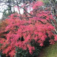 石川県山中温泉を堪能する(1)