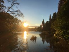 早朝ランニング～井の頭公園