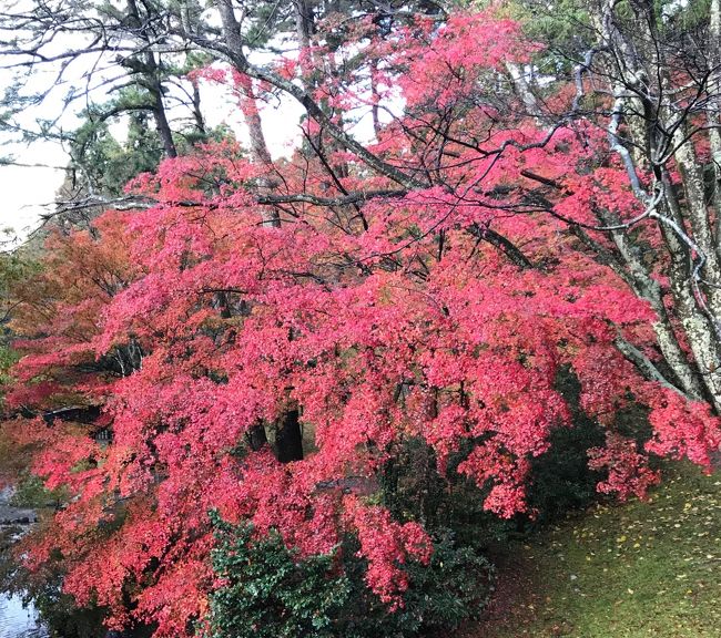 久し振りの本格温泉へ。<br />温泉が良いのは当たり前、空気は綺麗だし、食事は美味しいし、旅館は素晴らしいの嬉しい旅になりました。