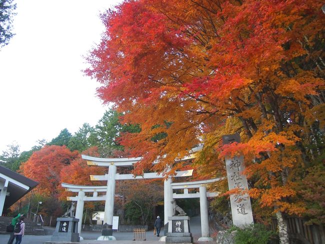 秩父には何度も行ってても三峯神社へは行った事なかったので、紅葉時期の三峯神社へ行ってみようと午後に出かけたら、祝日だったため参拝渋滞で紅葉はちょっとだけしか楽しめず、なんとか参拝は出来ましたが帰る頃には真っ暗になってしまいました