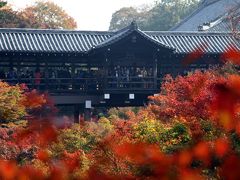 ムラゴンの旅日記　秋の京都・東福寺