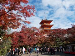 ちゃちゃっと半日で京都の紅葉スポットめぐりしてきました