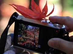 ２０１７【今高野山 龍華寺】で紅葉狩り＆町並み散策　～広島・世羅町～