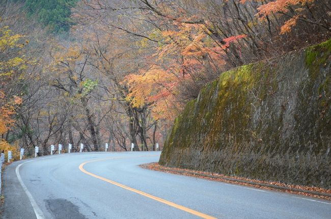 毎年恒例の家族で紅葉狩りです！<br /><br />今年は茨城県の「袋田の滝」に行く予定でしたが、天候不良のため車内から紅葉を楽しめる日塩もみじラインに行って参りました！<br /><br />【旅行行程】<br />佐野SA⇒黒磯PA⇒そば処「天坐留」⇒猿岩駐車場⇒塩原バレーライン無料駐車場⇒日塩もみじライン⇒佐野SA