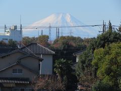 素晴らしかったふじみ野市から見られた富士山