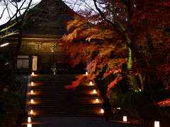京都の紅葉　光明院から三井寺ライトアップへ！2017年