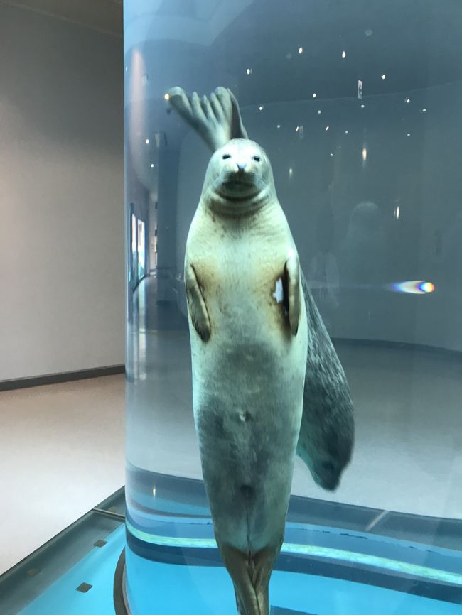 海無し県埼玉から魚を求めて静岡県に向かいました 。これまでは東伊豆、中伊豆、西伊豆、沼津などへ行っていましたが少し飽きたので足を伸ばして清水へ行くことに 。<br />しかし天候に恵まれず予定変更し清水で一泊、その後沼津へ戻り沼津で食事を楽しむ事になりました。 <br /><br />日本平動物園、三保の松原、薩埵（さった）峠などを回りました。特に薩埵（さった）峠は見応えがありました。<br /><br />天候に恵まれず富士山が見られなかったのが残念でした。<br /><br />ＮＯ．１／２<br />初日は清水です。最初は日本平へ行き、久能山東照宮へ登り見学する予定でした。<br />しかし、天候が悪く急遽、日本平動物園へ行くことに 。<br />期待していなかったのですが入ってみると結構面白く、満足な結果が得られました。<br />その後、４時前にホテルへ行きチェックイン一休みした後、清水港へ夕飯を食べに。<br /><br />