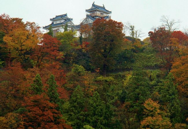 1泊2日で北陸の8つの城を巡って来ました。雨続きでしたが、紅葉は見頃で良かったです。<br />①富山城址公園<br />②高岡古城公園<br />③七尾城址<br />④金沢城<br />⑤山中温泉<br />⑥福井城址・北の庄城址<br />⑦越前大野城 ・・・本編<br />