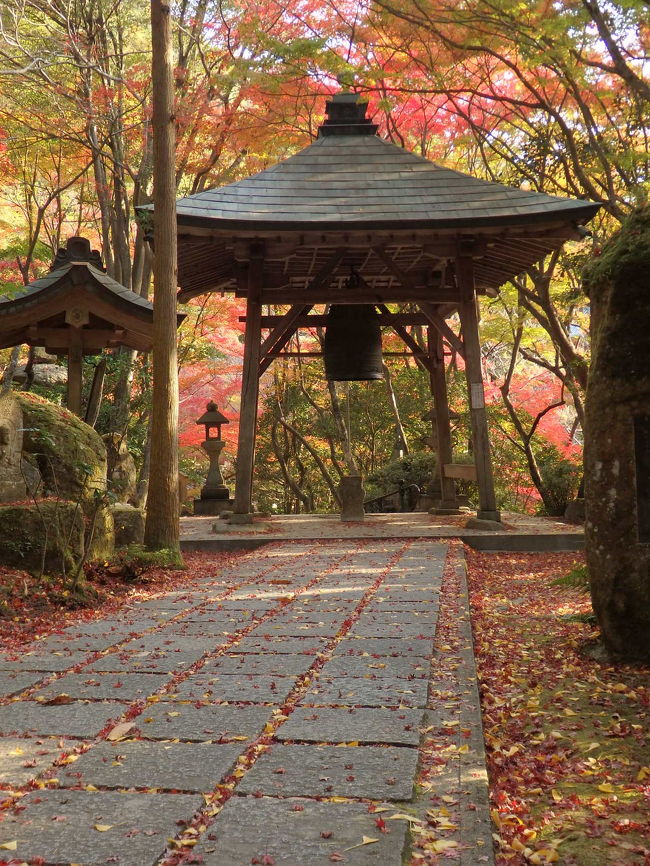 広島市西区にある三瀧寺。<br />ここが穴場の紅葉スポットという情報を聞き、おひとり様紅葉狩りへ。<br />思う存分、カメラに素敵な景色をおさめることができました～<br /><br />