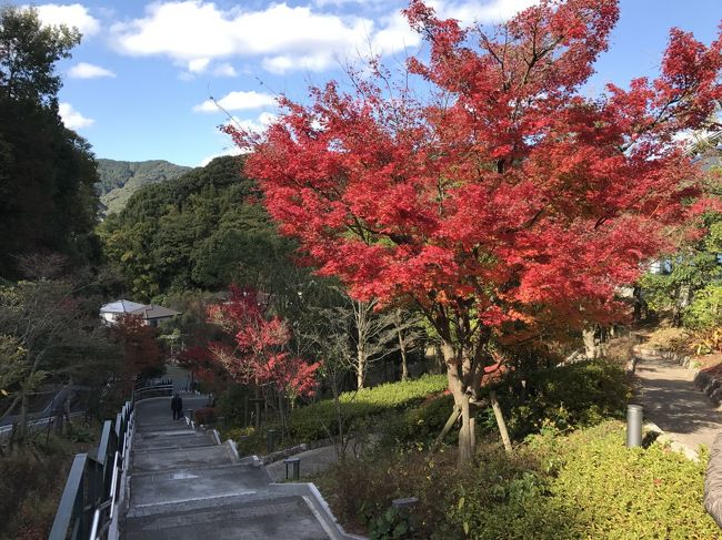 福岡出張が日曜をはさんだため、太宰府の九州国立博物間の「桃山展」を見に行くことにした。<br />でも、せっかく11月の太宰府に行くなら紅葉も楽しまないともったいない。<br />ということを、行きの電車の中で気づき、急遽、スマホで検索し、行程を決める。<br /><br />太宰府駅～竈門神社～太宰府天満宮～光明禅寺～九州国立博物～太宰府駅