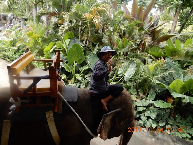 ｛バリ島｝動物園　Ⅰ　：象乗り　 インドネシア・バリ島