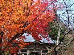 ふらりと温泉・紅葉狩り 前編　＊ 水沢うどんと榛名神社  ＊