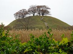 さきたま古墳群、忍城、妻沼聖天山