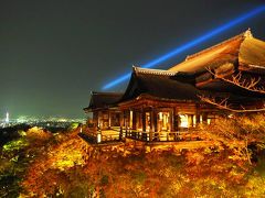 錦秋の京都を愛でる ① ― 京都国立博物館を見学後、東福寺、東寺、常照寺、源光庵、光悦寺へ。見事な紅葉の美しさを堪能する。　