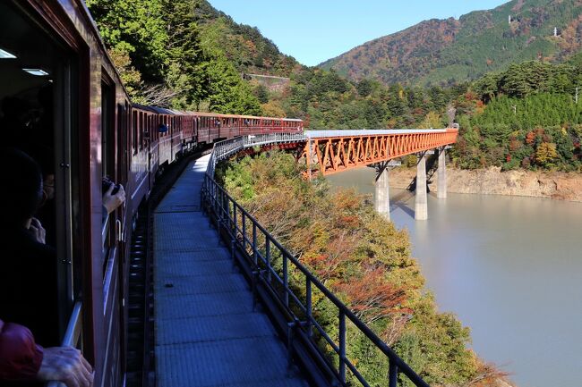 旅の2日目は、大井川鉄道のSLとトロッコ列車に乗って、奥大井の紅葉を楽しむ旅です。<br />奥大井といえば、1968年に寸又峡温泉の「ふじみや旅館」に金嬉老が立て籠った事件を思い出しますが、大井川鉄道は今や静岡の代表的な観光スポットの一つ・・・金谷～千頭間を走るSLの「大井川本線」と、千頭～井川までをつなぐアプト式鉄道の「南アルプスあぷとライン」は、マイカーで来て乗るのは面倒なので、バスツアーが一番です。<br />この日は山々の紅葉も見頃で、天気にも恵まれ、列車の旅を楽しむことが出来ました。<br />写真は、「奥大井湖上駅」があるレインボーブリッジに差しかかるトロッコ列車。