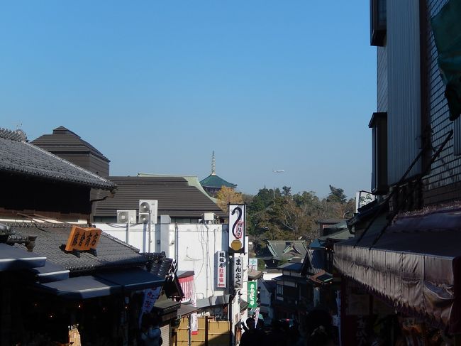 今回のクルーズでジャンボツアーズに決めた理由の一つが<br />最後に成田宿泊がついていること♪<br /><br />私は伊丹空港に戻るのですが<br />早目に帰れる羽田発は成田から羽田は自腹。<br />遅い便でも良いのなら成田発に出来ますと言う事でした。<br />いやいや、ここまで来たら成田山でしょ!<br />で成田山観光~♪<br /><br />参考までに<br /> 旅行代金(全観光つき) 239800円<br /> 海側バルコニーキャビン 28000円<br /> ポートチャージ 16500円<br /> 旅客施設使用料 2610円<br /> 値引き(海外) -250円<br /> 海外出入国税(空港諸税) 7610円<br /> (国内)合流・離団 -385円<br /> (国内)合流・離団 -385円 旅行社への合計金額 296500円<br /><br /> イタリア宿泊税 3ユーロほど現地払い(金額の記憶曖昧^^;)<br /> 船内チップ 10ユーロ×7<br /> ユニセフ募金 1ユーロ(自動的にひかれますが、どうしても嫌と言う人は拒否できるらしいです)<br /><br />