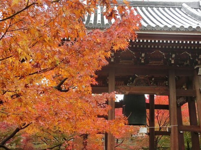 2017年の京都(紅葉狩り)旅行記録です。<br /><br />11/18：常寂光寺・智積院