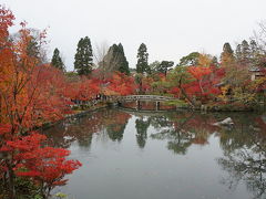 見たぜ！！　２０１７　京都府　『紅葉を見に平日の１５時頃に永観堂に到着してほぼ並ばず入場できた♪』　ＩＮ　永観堂