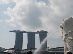 2兄弟連れ夏休みシンガポール旅行 (最終日)帰国