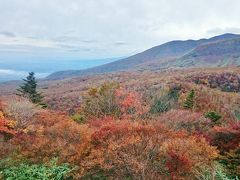 1泊2日 栃木県 那須高原 紅葉狩りとミニ苔盆栽作り (前編) 紅葉の那須高原に感動