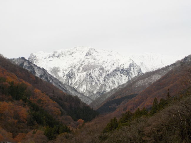 温泉でゆったりまったりするために、谷川温泉に行ってきました。<br /><br />①団体客がいなくて、静かな宿。<br />②温泉の成分が、塩化系でない場所。(今回の相方は、なぜか塩の成分がはいっている温泉や海だと、肌荒れを起こすので(^_^;))<br />③関東近郊(今回の相方が飛行機嫌い→怖いらしい(^_^;))<br /><br />上記の条件で、いろいろ調べ&amp;悩み…<br />群馬県谷川温泉(水上温泉の近く)の「旅館たにがわ」さんに決定！それも、露天風呂付き客室で、３食付き(１２時チェックアウトで、名物のカレーライスのお昼付き)プランにしちゃいました。<br /><br />宿を決めたあと、そこまでのプランを考えているとＳＬ列車が走っていた(臨時列車なので運転日に注意)ので話のたねに乗ってきました。<br /><br />紅葉の最盛期は過ぎていましたが、今シーズン初の大寒波が到来し初雪初冠雪を見ることが出来ました。<br /><br />目的のゆったりまったり＼(^-^)／を満喫した旅でした(^-^)