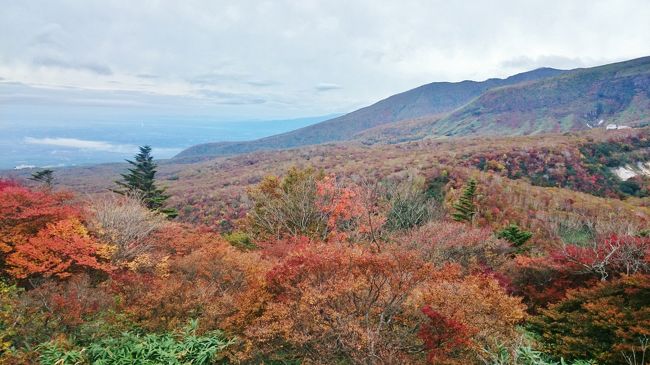 1泊2日 栃木県 那須高原 紅葉狩りとミニ苔盆栽作り (前編) 紅葉の那須高原に感動