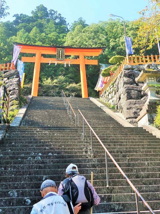 野那智大社は、那智山青岸渡寺とともに熊野信仰の中心地として栄華を極め、古来より多くの人々の信仰を集めました。今なお多くの参詣者が訪れ、熊野速玉大社・熊野本宮大社とともに熊野三山の一つです。<br /><br />467段におよぶ石段の上に建つ6棟からなる社殿は、標高約330ｍに位置し、夫須美神（ふすみのかみ）を御主神としてそれぞれに神様をお祀りしています。<br />伊弉冉尊（いざなみのみこと）とも言われる夫須美神は、万物の生成・育成を司るとされ、農林・水産・漁業の守護神、縁結びの神様また、諸願成就の神としても崇められています。<br /><br />社殿は、仁徳天皇の御世（317年）に現在の位置に創建され、平重盛が造営奉行となってから装いを改め、やがて、織田信長の焼討に遭ったのを豊臣秀吉が再興しました。徳川時代に入ってからは、将軍吉宗の尽力で享保の大改修が行われています。<br /><br />境内には、日本サッカー協会のロゴにも用いられている“八咫烏(やたからす)”の烏石や、樹齢約850年の大楠が茂っています。<br />社殿並びに境内は、2004年7月、ユネスコの世界文化遺産「紀伊山地の霊場と参詣道」の一部として登録されました。<br />熊野那智大社参拝可能時間　午前６：００～１６：３０、　　<br />（http://www.nachikan.jp/kumano/nachitaisya/　より引用）<br /><br />大門坂　については・・<br />http://www.nachikan.jp/kumano/daimonzaka/<br />熊野那智大社　については・・<br />http://kumanonachitaisha.or.jp/<br /><br />高野山・熊野三山・中辺路をゆくハイキング3日間<br />3 串本温泉--那智山めぐりハイキング(★大門坂--★熊野那智大社--★青岸渡寺--★那智の滝)--那智山（名物・まぐろの昼食）--★熊野速玉大社--名古屋--＜新幹線こだま号＞--品川--東京着　 ※歩行:約６km、約３時間　<br />