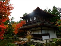 京都　ひたすら寺院を巡り紅葉をめでる一人旅（その９）