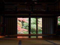京都　ひたすら寺院を巡り紅葉をめでる一人旅（その１０・完結編！）