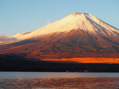 西日本から箱根～山中湖～河口湖～伊豆周遊旅.....富士山眺望を求めて