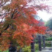 愛知県御朱印旅