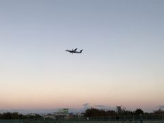 日本のセントマーチン？千里川で飛行機鑑賞。