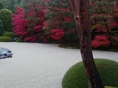 皆生温泉&山陰で仕事旅