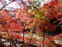 紅葉の香嵐渓・モネの池・なばなの里イルミネーション　名古屋駅から日帰りバスツアーにて