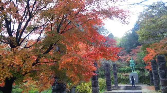  愛知県にある一の宮や東照宮を中心にまわった御朱印旅です。