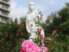 修理のついでにバラ園