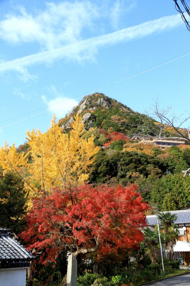 太郎坊宮の紅葉<br /><br />太郎坊宮は、正式名称を阿賀神社といいます。<br />太郎坊とは、神社を守護する天狗の名前であるとのこと。<br /><br />紅葉と黄葉。<br />後ろの岩山の中腹に本殿が鎮座しています。<br />