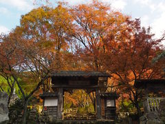 丹波もみじめぐりバスで関西花の寺満願へ&#12316;高源寺・高山寺編&#12316;