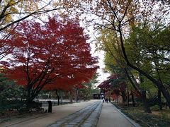 初めてのソウルを一人旅 1日目