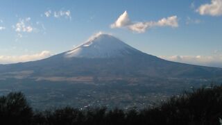 明神ヶ岳から金時山を歩く